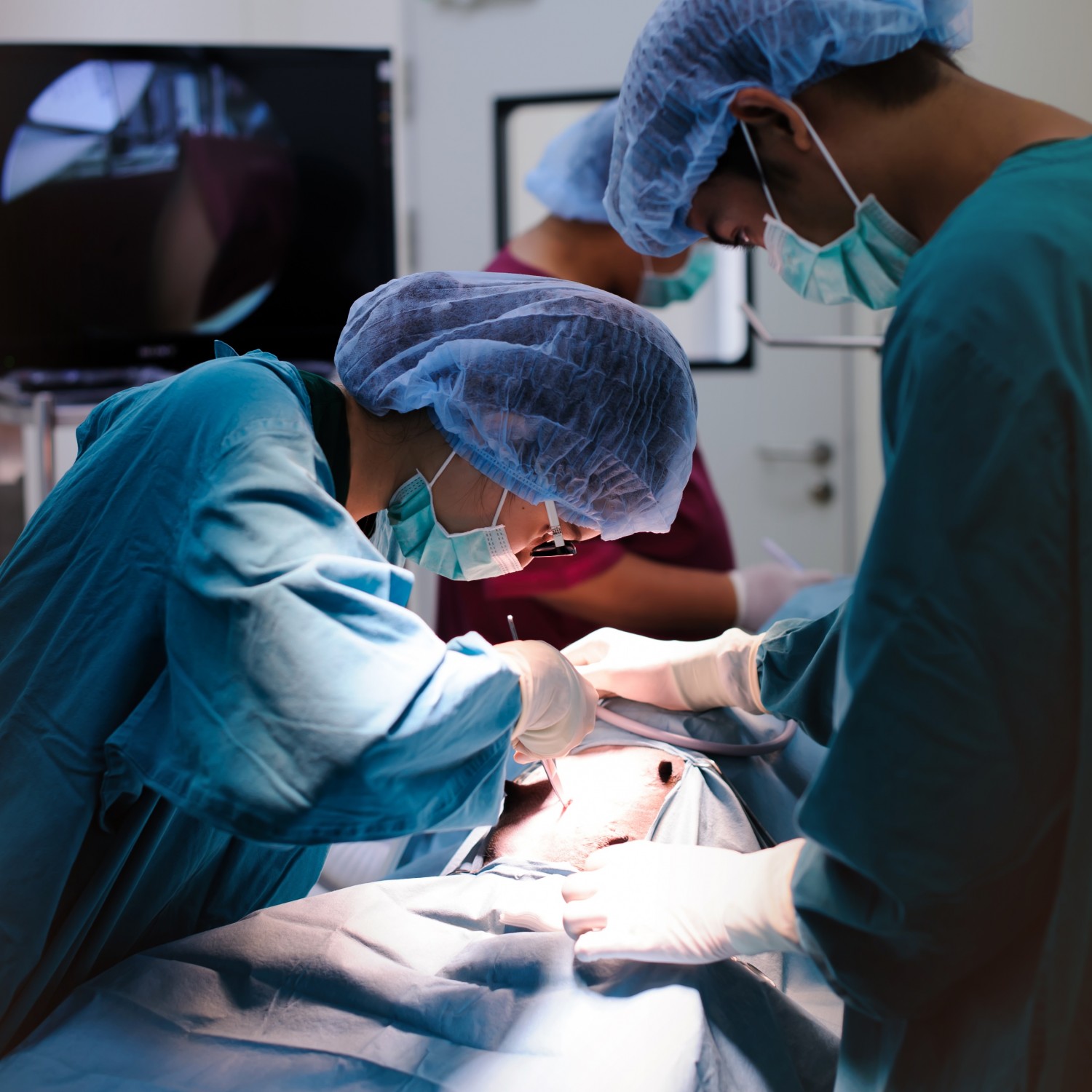Veterinarians performing surgery